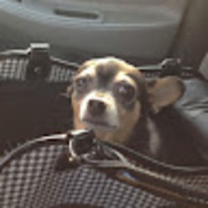 Meet your Posher, Kristin